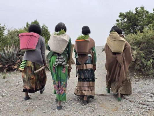 Restoring Forests And Livelihoods Along The Great Green Wall