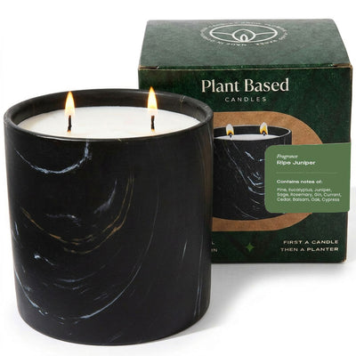 Black marquina-style plant-based candle with white wax and two wicks, shown with box