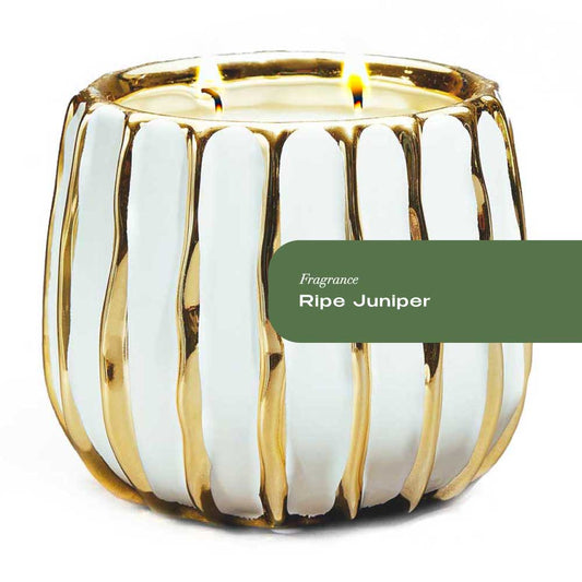 Ripe Juniper Gold Banded Candle