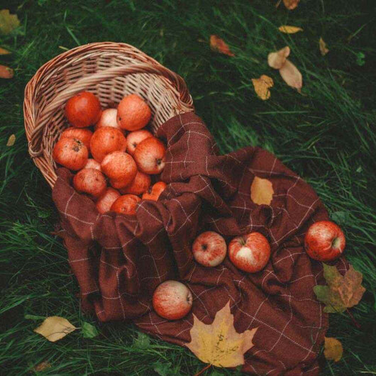 Scarecrow-style fall decoration with plaid fabric and orange apples in a wicker basket