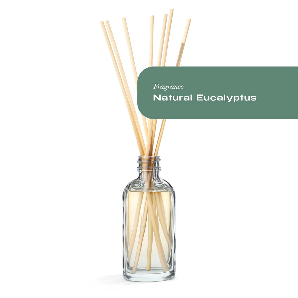 Natural Eucalyptus Reed Diffuser | Plant Based Candles | Home Decor