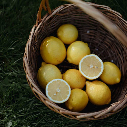 Natural Lemon Wax Melt Tarts