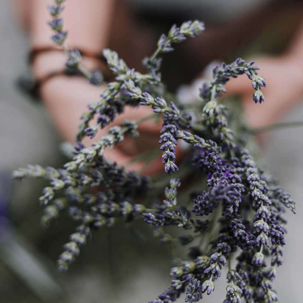 Natural Lavender Reed Diffuser