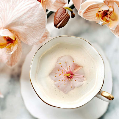 Natural Vanilla Orchid